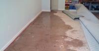 Flood Damage Restoration Melbourne image 1